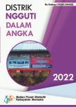 Kecamatan Ngguti Dalam Angka 2022