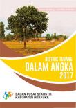 Distrik Tubang Dalam Angka 2017