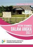 Distrik Semangga Dalam Angka 2017