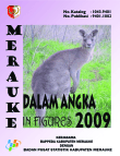 Merauke Dalam Angka 2009