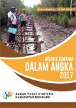 Distrik Kimaam Dalam Angka 2017