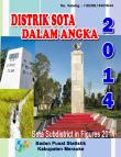 Distrik Sota Dalam Angka 2014