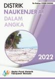 Kecamatan Naukenjerai Dalam Angka 2022