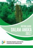 Distrik Kurik Dalam Angka 2017