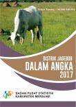 Distrik Jagebob Dalam Angka 2017